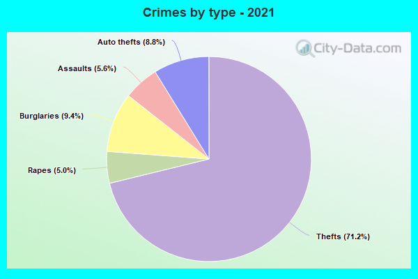 Crimes by type - 2021