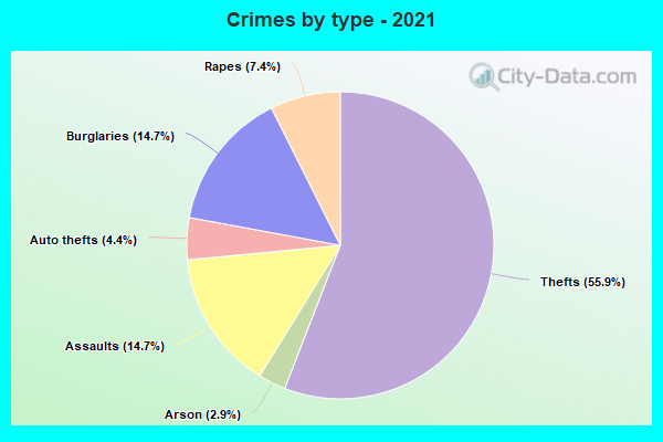 Crimes by type - 2021