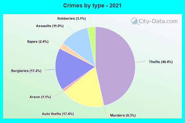 Crimes by type - 2021