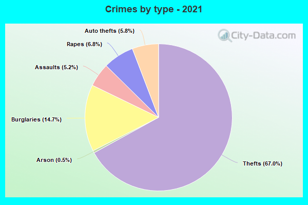 Crimes by type - 2021