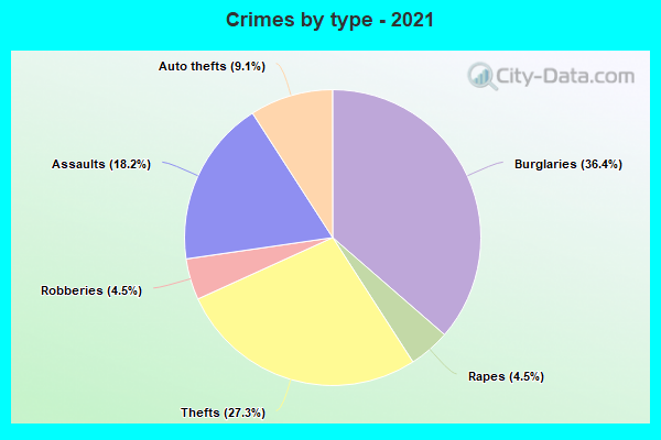 Crimes by type - 2021