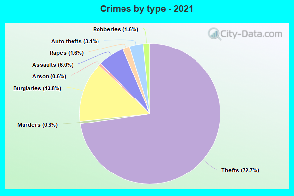 Crimes by type - 2021