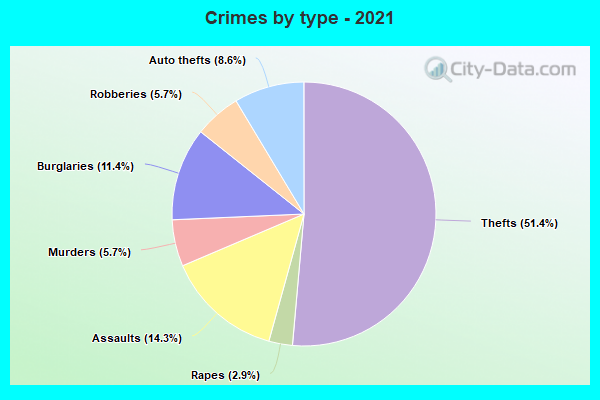 Crimes by type - 2021