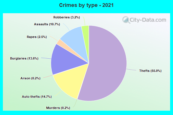 Crimes by type - 2021