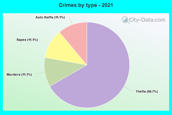 Crimes by type - 2021