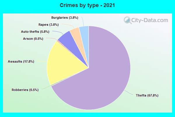 Crimes by type - 2021