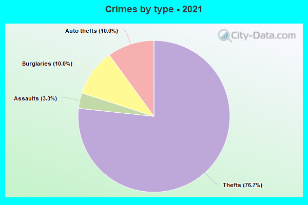 Crimes by type - 2021