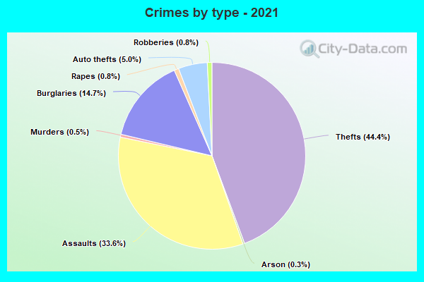 Crimes by type - 2021