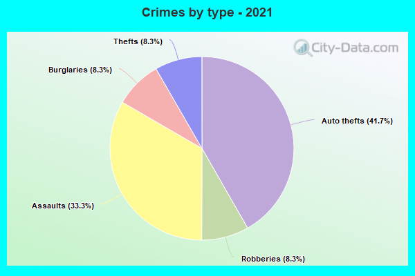 Crimes by type - 2021