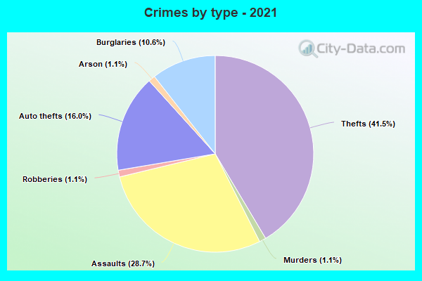 Crimes by type - 2021