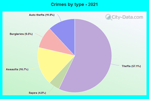 Crimes by type - 2021