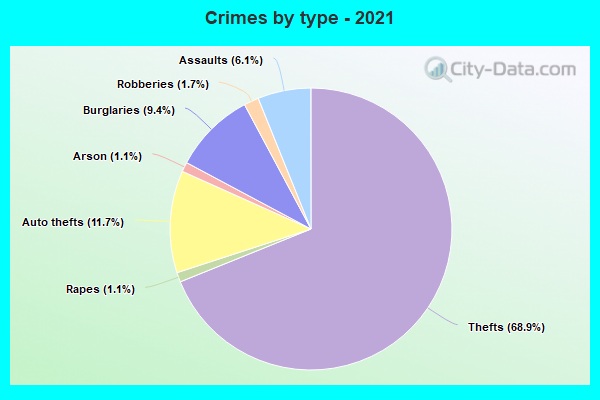 Crimes by type - 2021