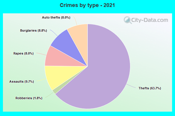 Crimes by type - 2021