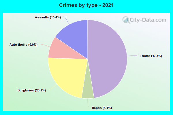 Crimes by type - 2021