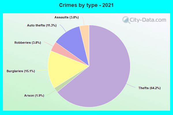 Crimes by type - 2021