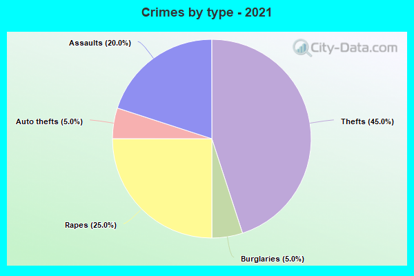 Crimes by type - 2021