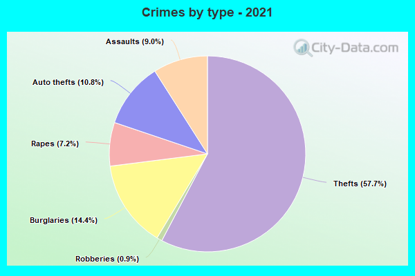 Crimes by type - 2021