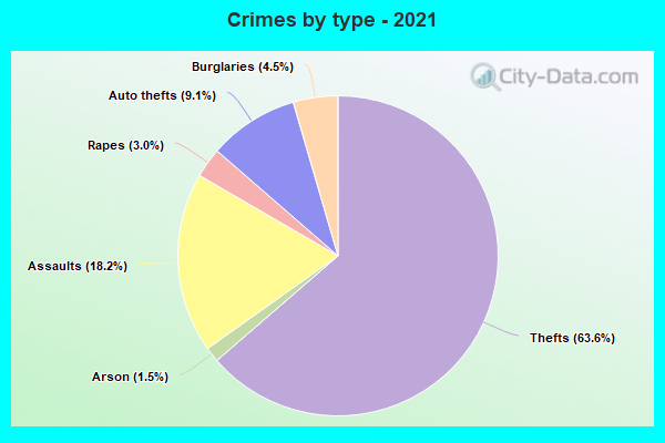 Crimes by type - 2021