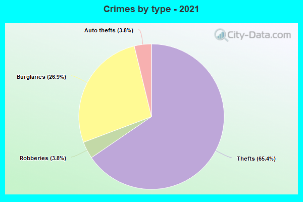 Crimes by type - 2021