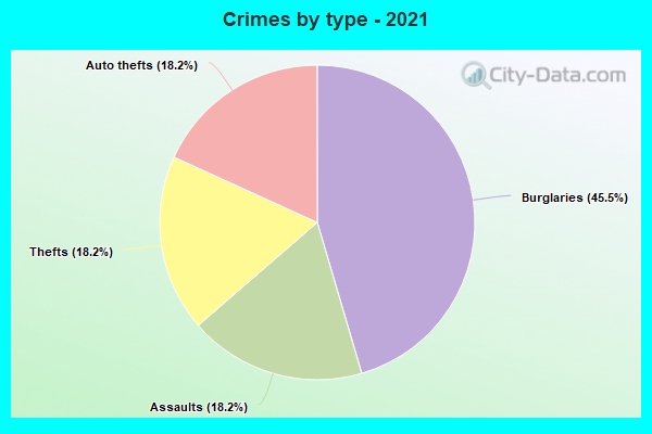 Crimes by type - 2021