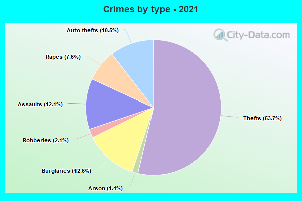 Crimes by type - 2021