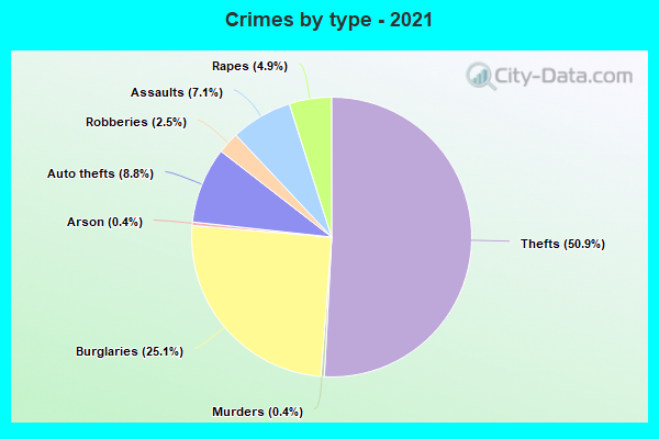 Crimes by type - 2021