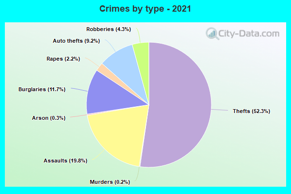 Crimes by type - 2021