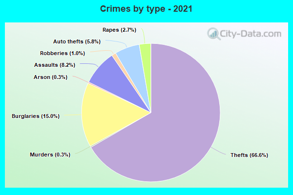 Crimes by type - 2021