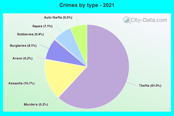 Crimes by type - 2021