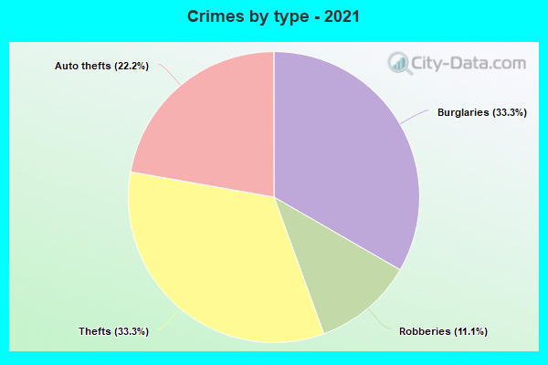 Crimes by type - 2021