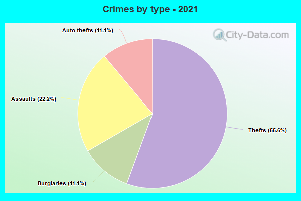 Crimes by type - 2021