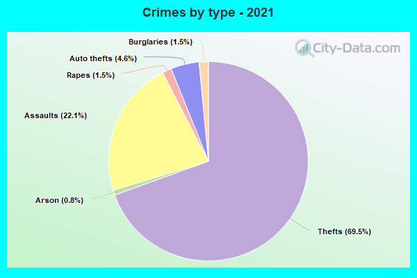 Crimes by type - 2021