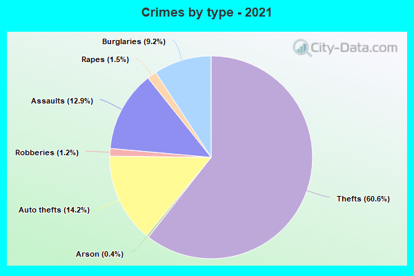 Crimes by type - 2021