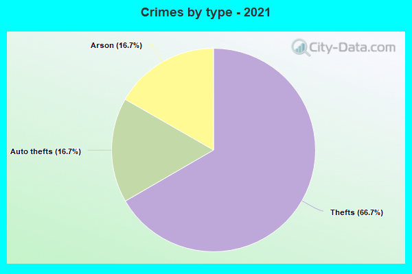 Crimes by type - 2021