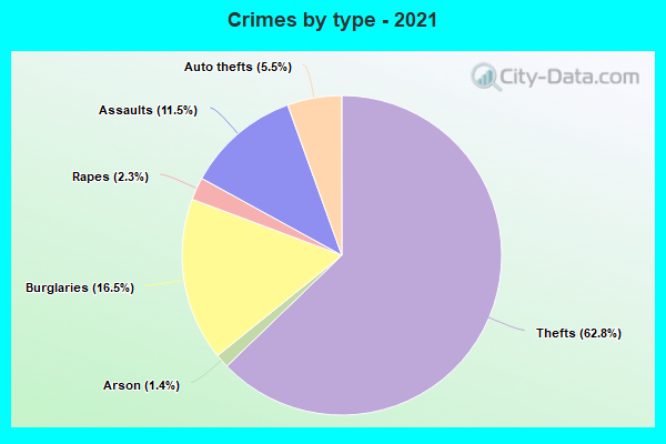 Crimes by type - 2021