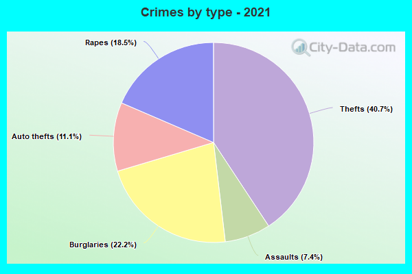 Crimes by type - 2021