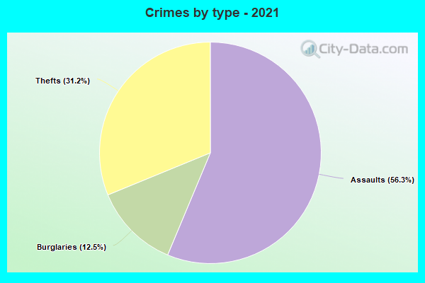 Crimes by type - 2021