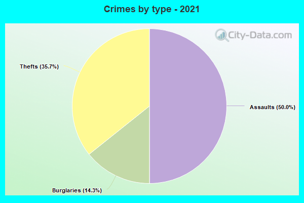 Crimes by type - 2021