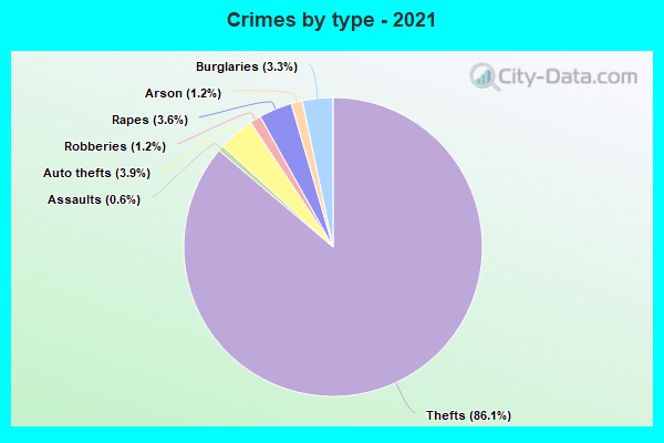 Crimes by type - 2021