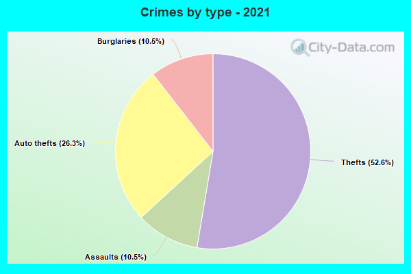 Crimes by type - 2021