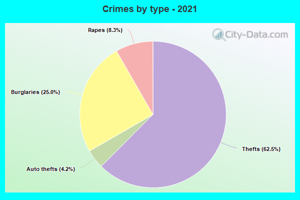 Crimes by type - 2021