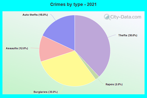 Crimes by type - 2021