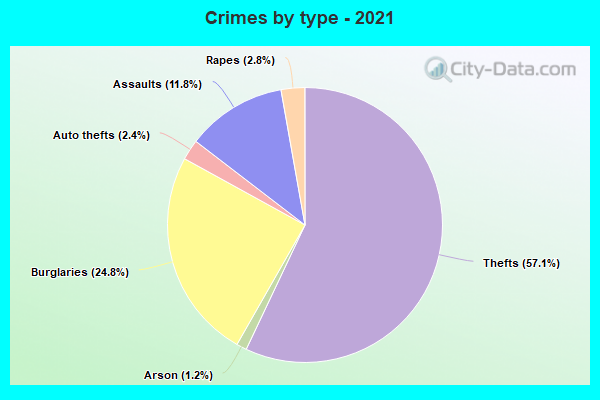 Crimes by type - 2021