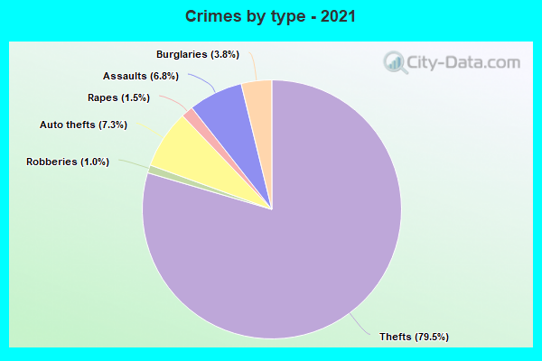 Crimes by type - 2021