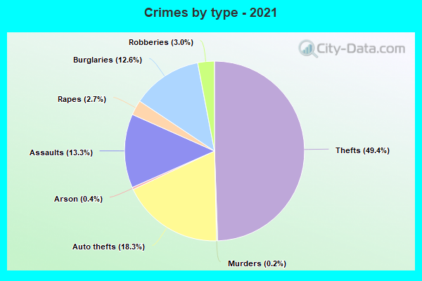 Crimes by type - 2021