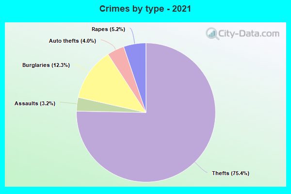 Crimes by type - 2021