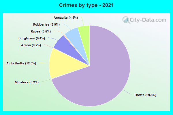 Crimes by type - 2021