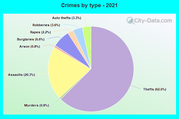 Crimes by type - 2021