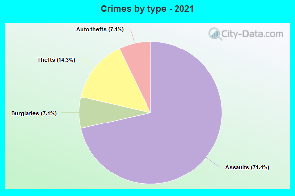 Crimes by type - 2021