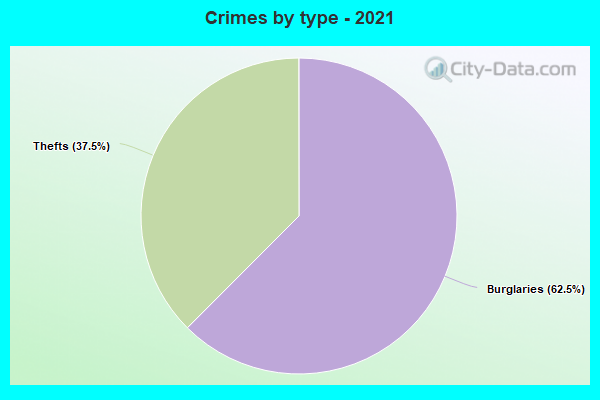 Crimes by type - 2021